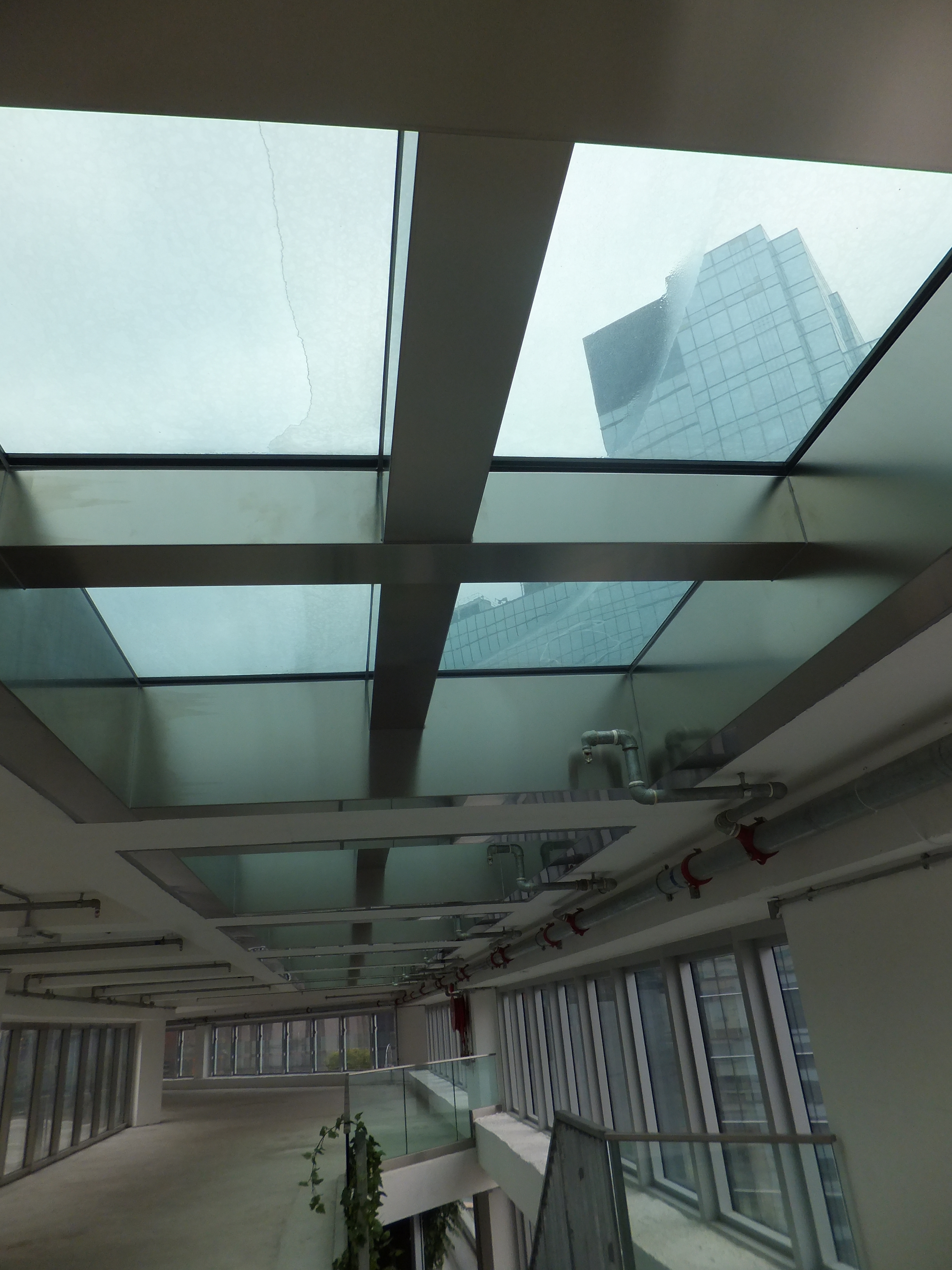 سكاي لايت هونغ كونغ