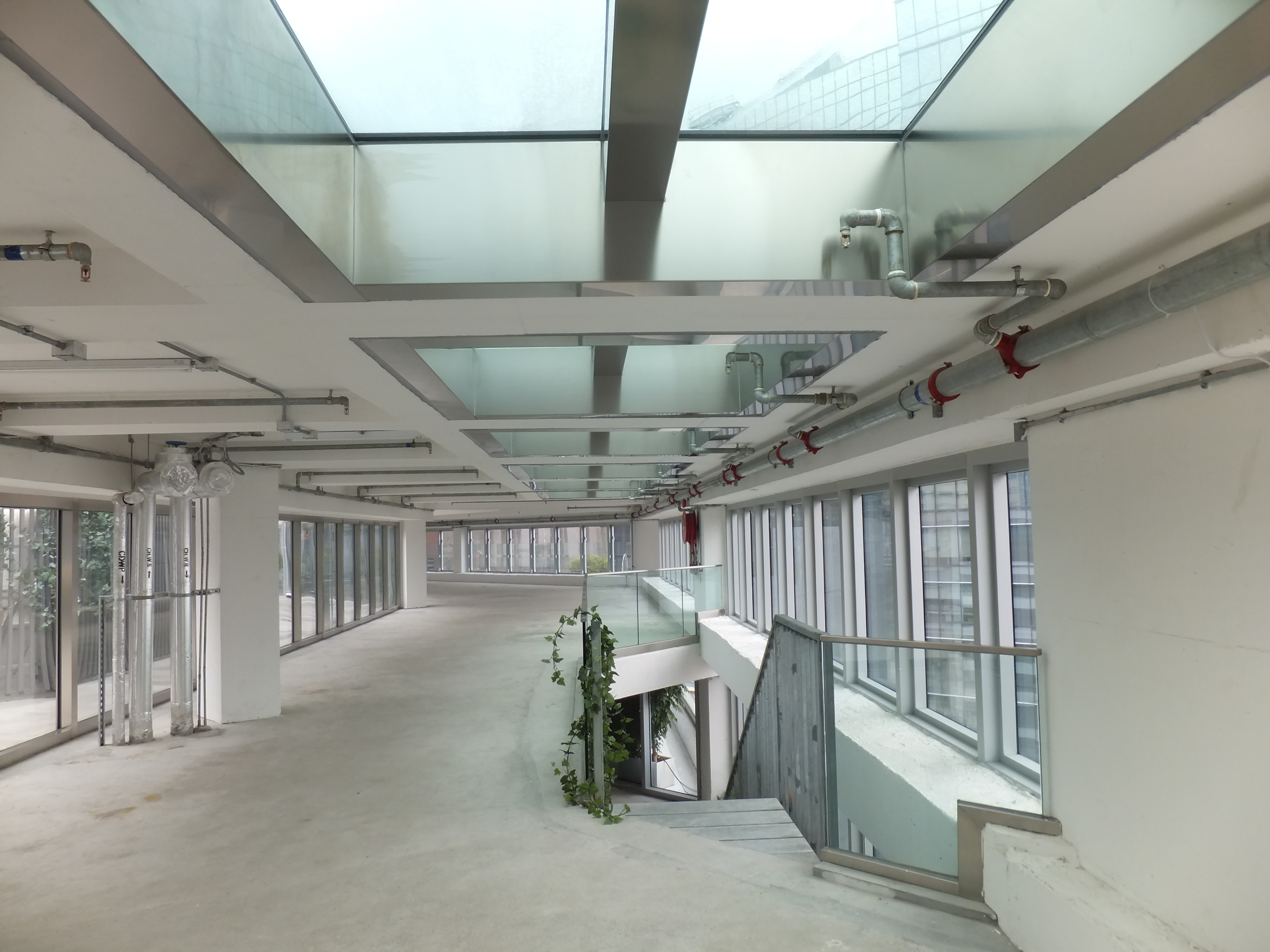 كوة هونج كونج -4